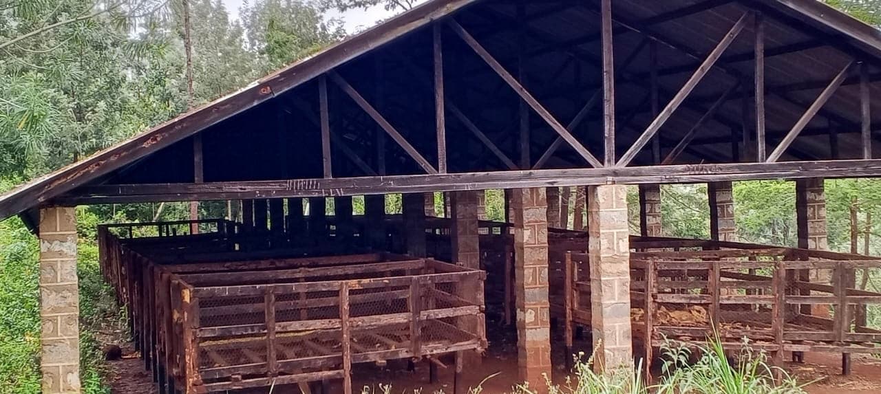 Foundation Impact